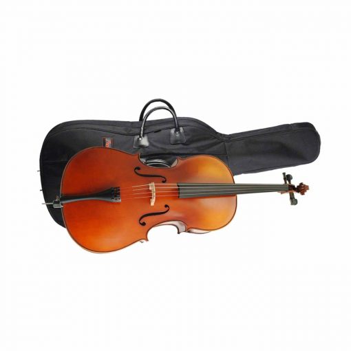 Höfner H5 Cellogarnitur