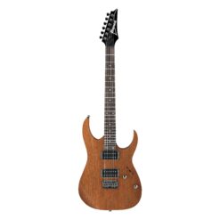 Ibanez RG421 E-Gitarre
