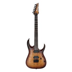 Ibanez RGA42FM DEF E-Gitarre