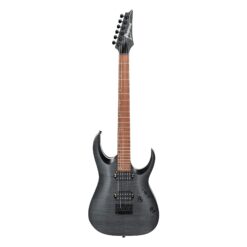 Ibanez RGA42FM TGF E-Gitarre