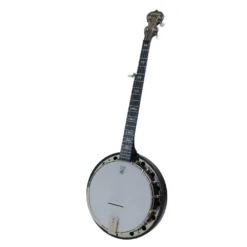 Deering Artisan Goodtime Two Banjo vorne