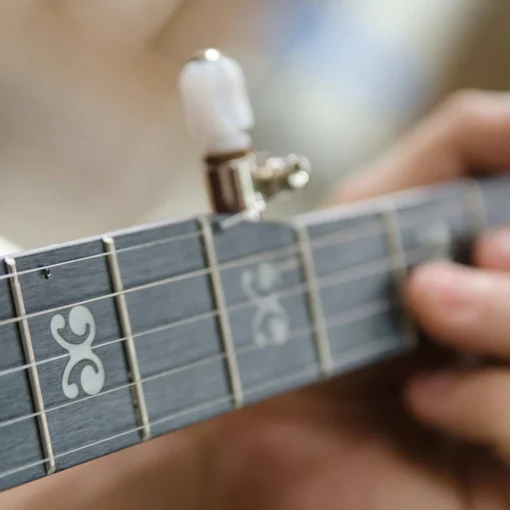 Deering Artisan Goodtime Two Banjo Griffbrett