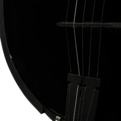 Deering Goodtime Blackgrass Banjo Saiten