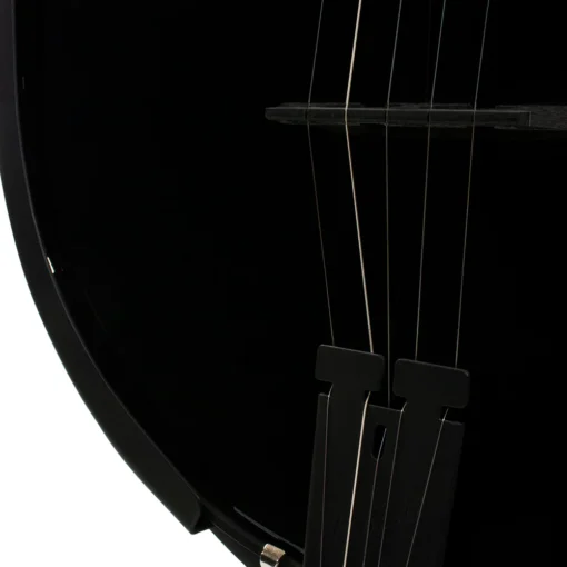 Deering Goodtime Blackgrass Banjo Saiten