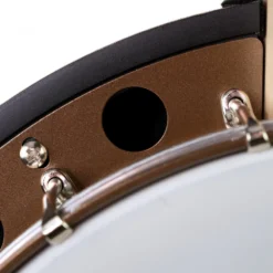 Deering Goodtime Special Banjo Stahlreifen