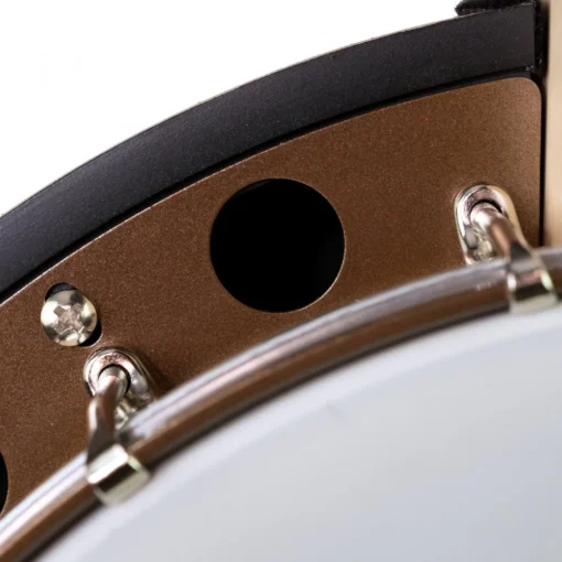 Deering Goodtime Special Banjo Stahlreifen