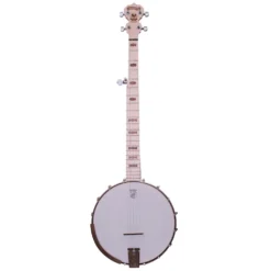 Deering Goodtime Banjo