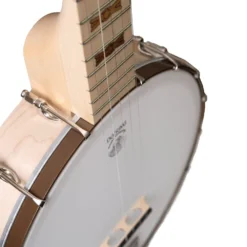 Deering Goodtime Banjo