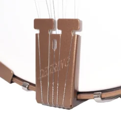 Deering Goodtime Banjo Saiten