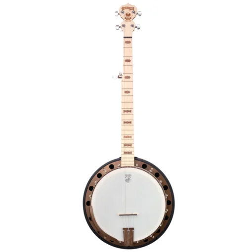 Deering Goodtime Two Banjo