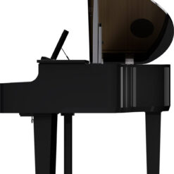 Roland GP6 PE E-PIano